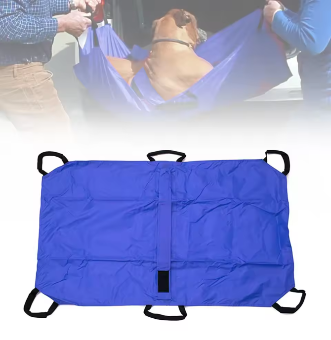 Djurbår